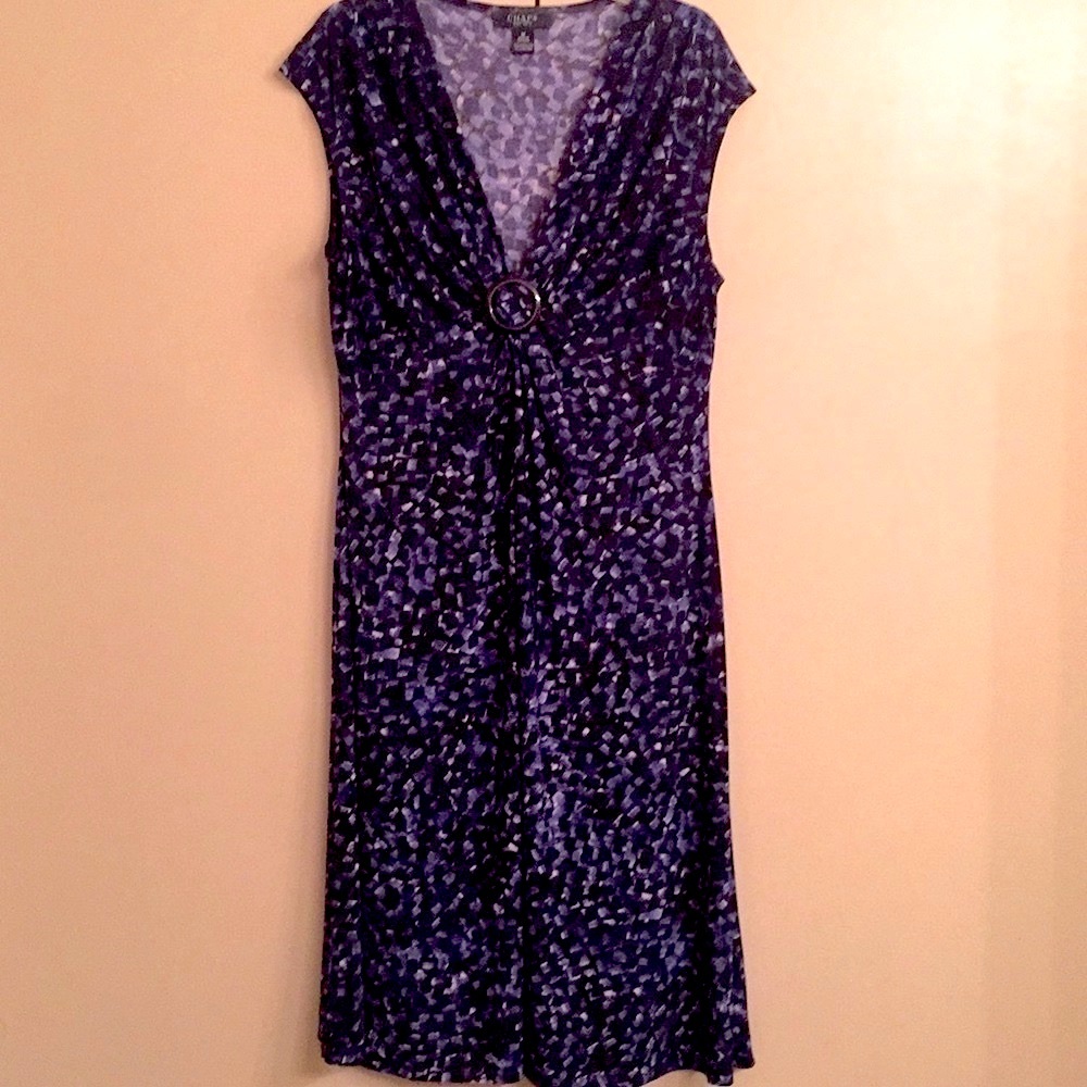 Sassy.  Flirty.   Deep  V Plunge  >€ Dress by Chaps.  Bounces and Pops